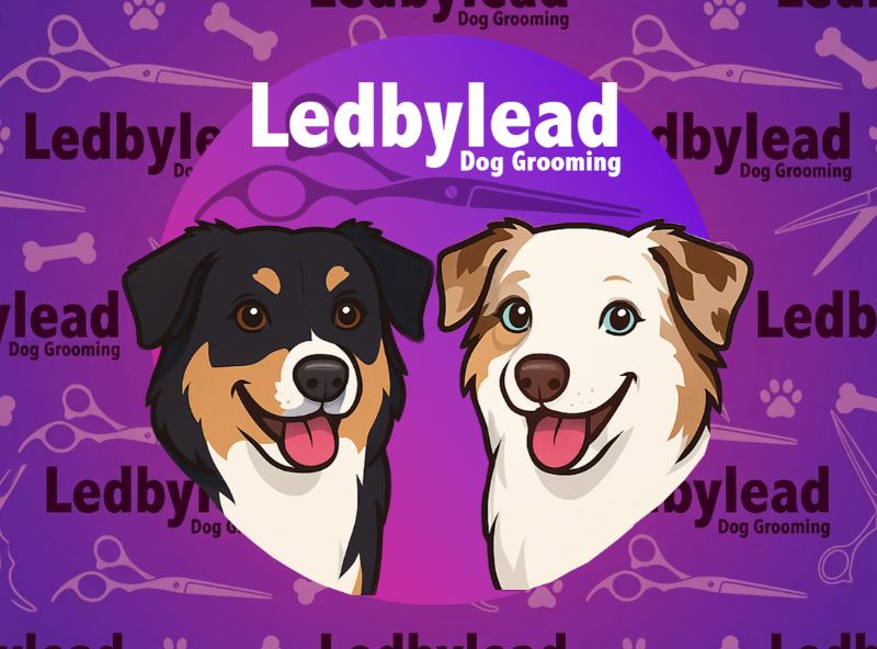 Ledbylead Dog Grooming